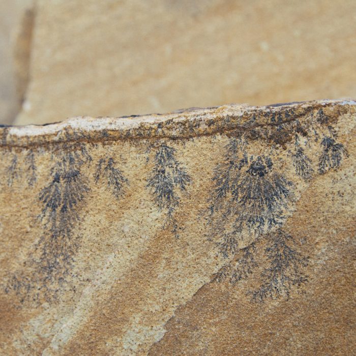 Autumn Mist Flagstone