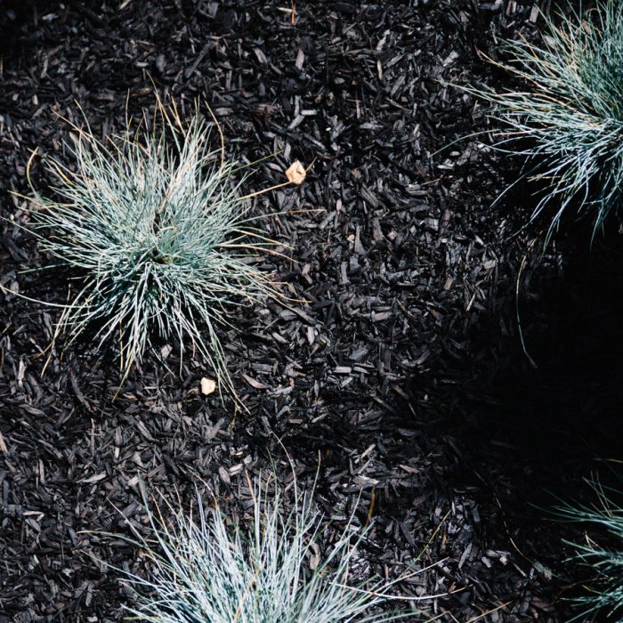 Black Mini Mulch CY - Image 3